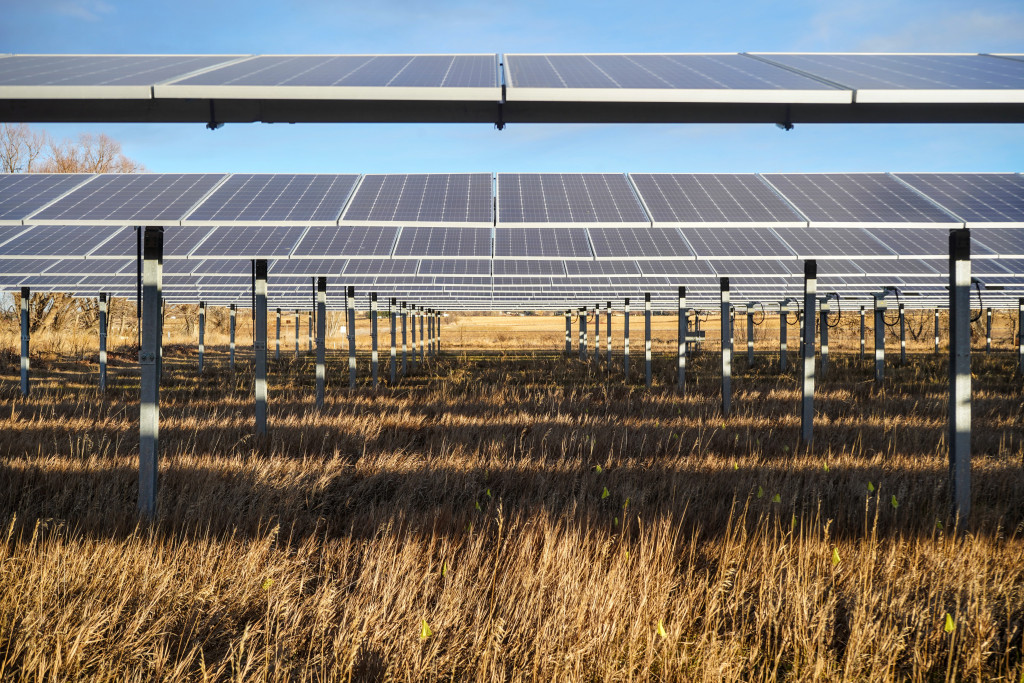 In Colorado, the soil beneath solar panels is ripe for growing crops